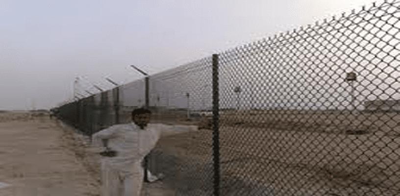 شبوك الرياض | أفضل أنواع — صورة 4
